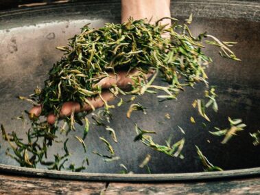 {{brizy_dc_image_alt entityId=