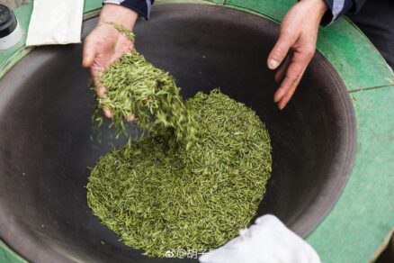 {{brizy_dc_image_alt imageSrc=