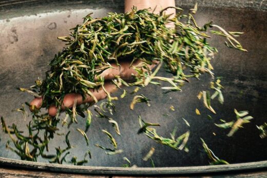 {{brizy_dc_image_alt imageSrc=