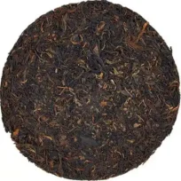 {{brizy_dc_image_alt imageSrc=